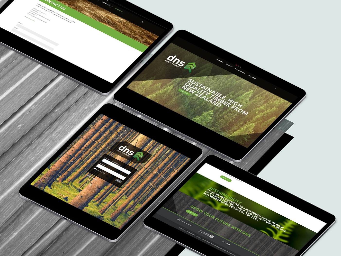 DNS Ltd Website UX