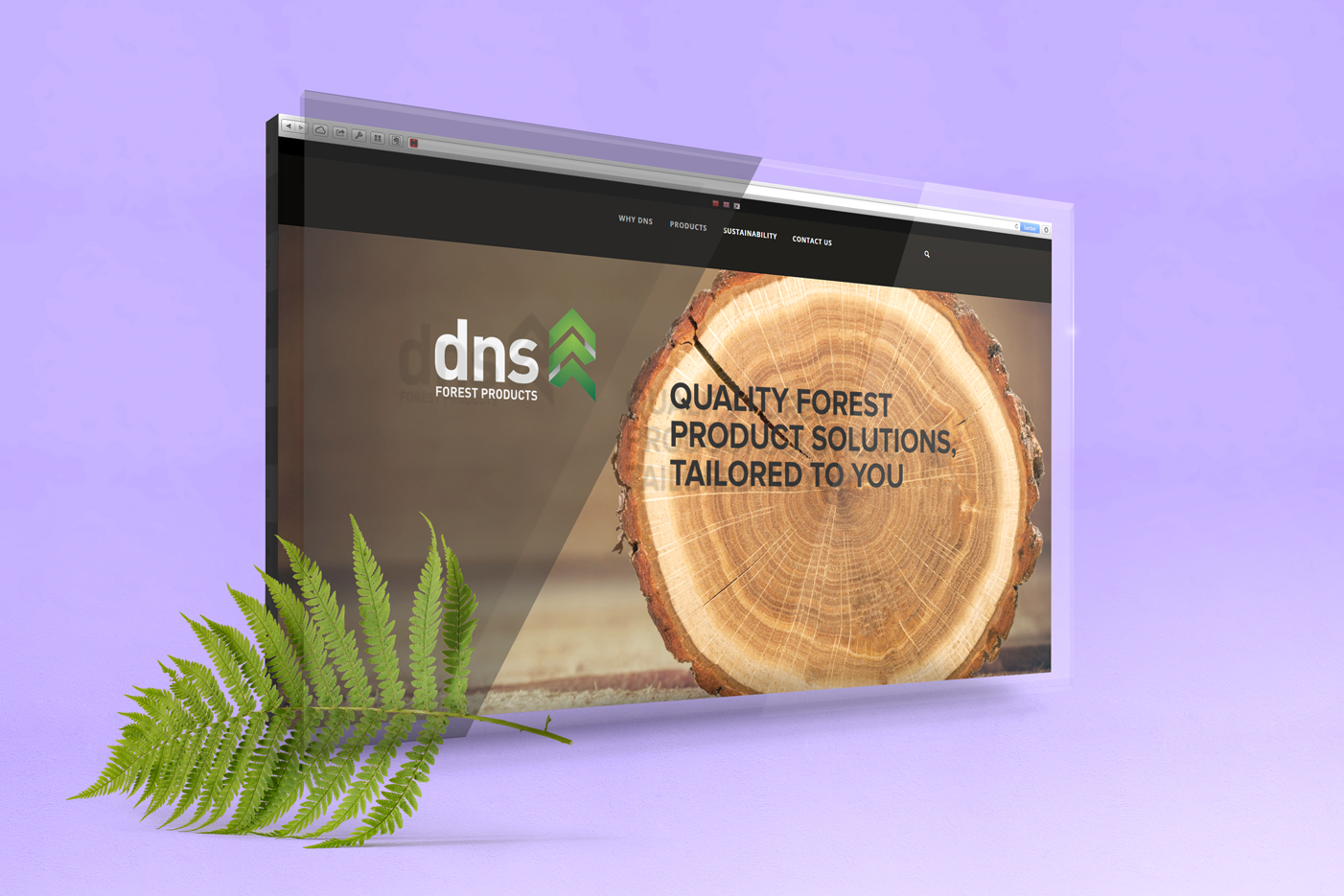 DNS Ltd Website Build UX
